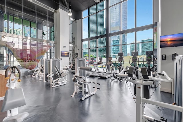 gym with concrete flooring and a towering ceiling