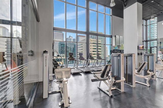 gym featuring a high ceiling and a wall of windows