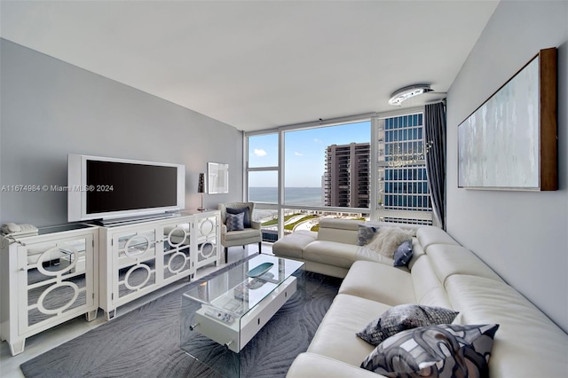 living room with a wall of windows