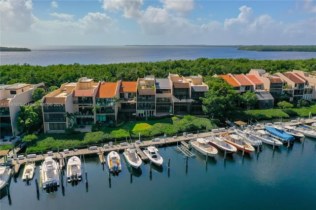 bird's eye view with a water view