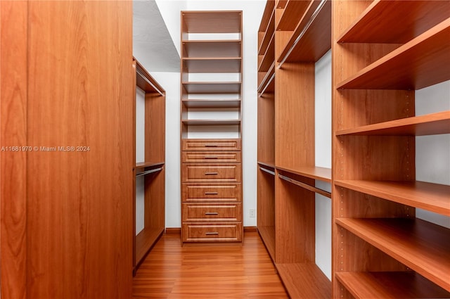 spacious closet with light wood-type flooring