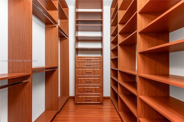 walk in closet with light wood-type flooring