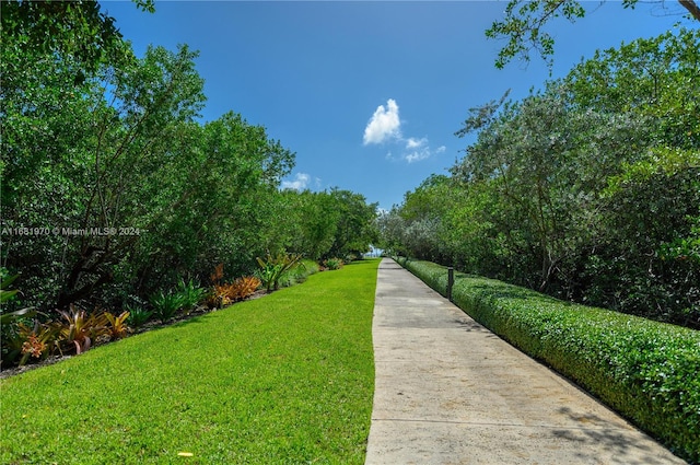 view of property's community with a yard