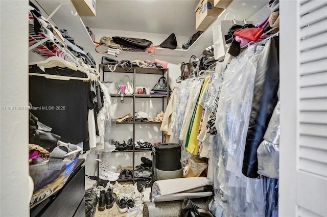 view of spacious closet