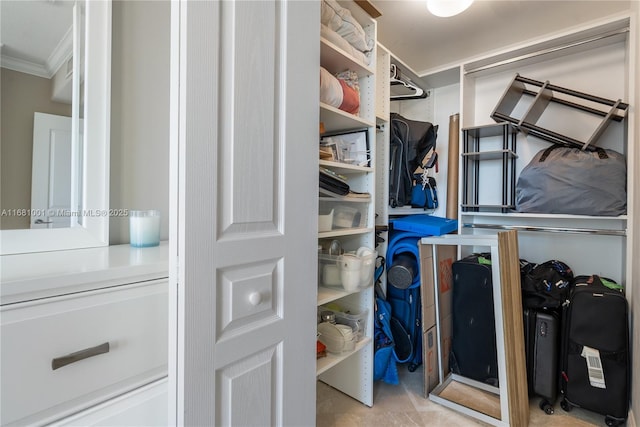 view of spacious closet