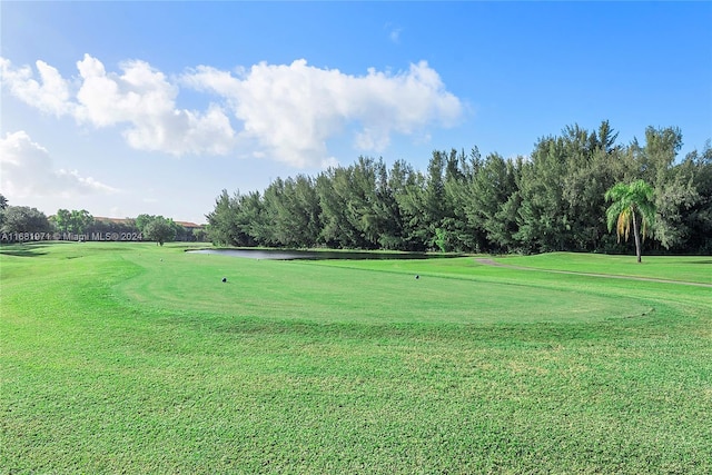 view of property's community with a lawn