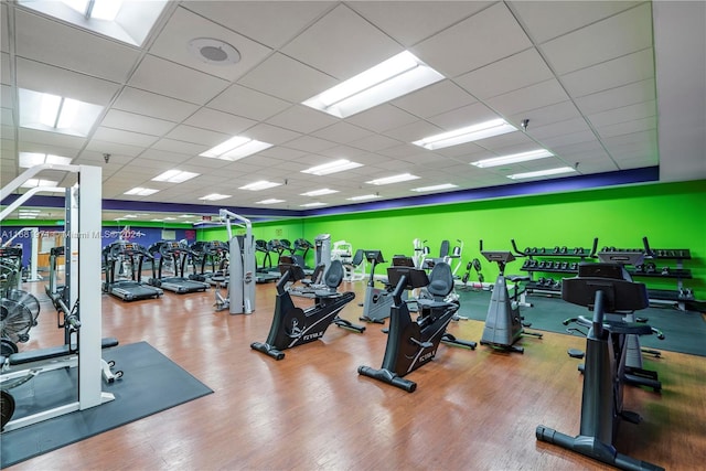 workout area with a paneled ceiling and hardwood / wood-style flooring