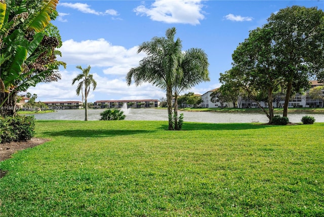 view of yard featuring volleyball court and a water view