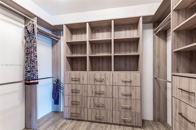 walk in closet featuring light hardwood / wood-style floors