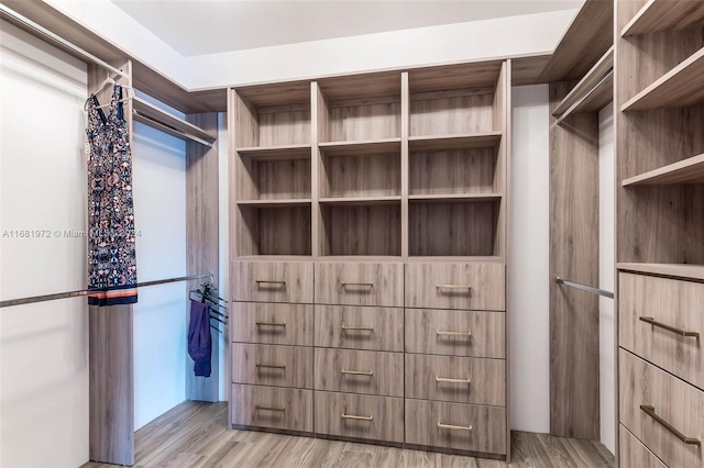 7720 SW 130th St, Pinecrest, FL 33156 - spacious closet featuring light wood-style flooring