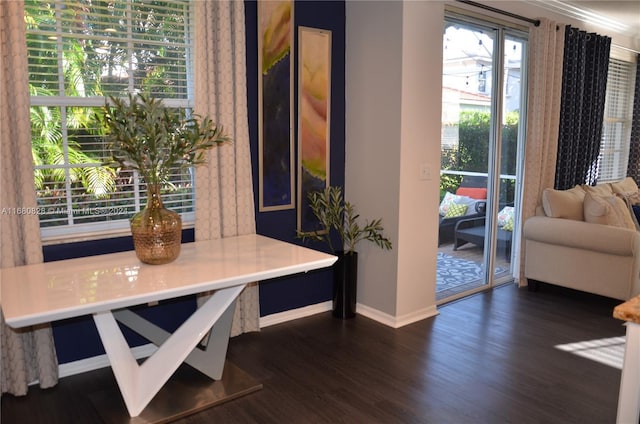 interior space featuring dark wood-type flooring and ornamental molding