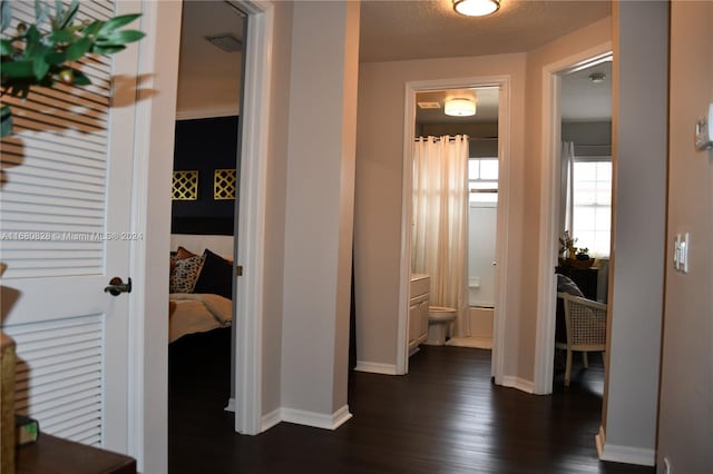 corridor with a textured ceiling and dark hardwood / wood-style flooring