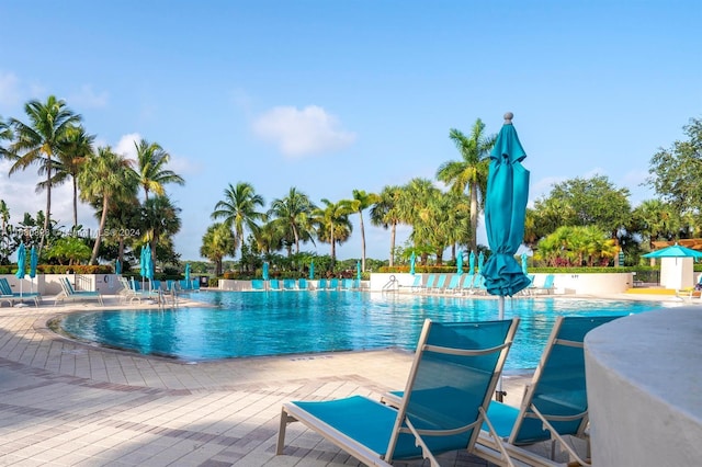 view of pool with a patio