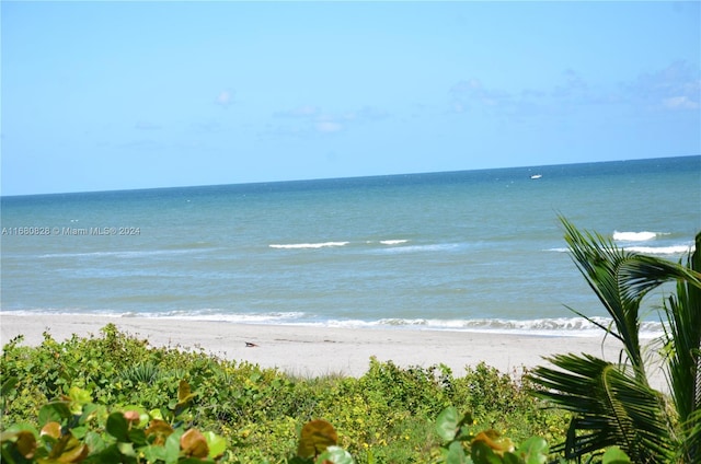 property view of water featuring a view of the beach