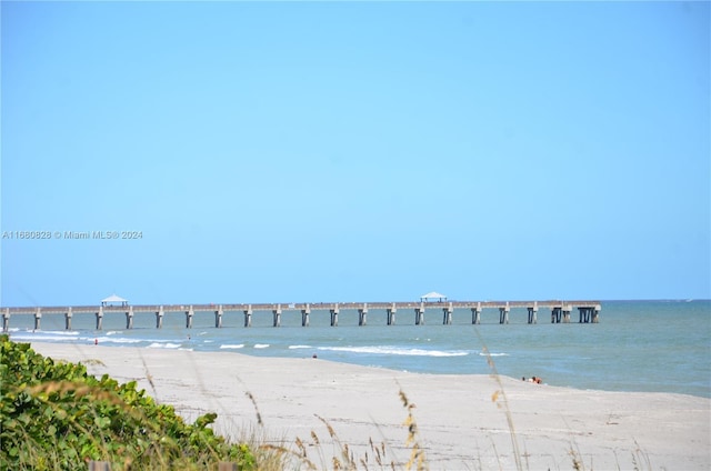 water view featuring a beach view