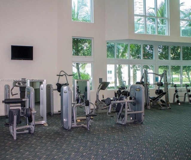 exercise room featuring a high ceiling and dark colored carpet