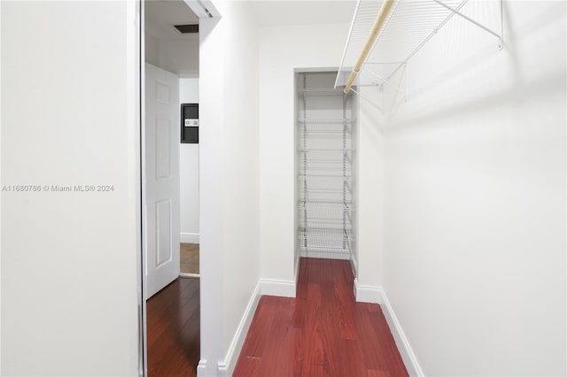 spacious closet with dark hardwood / wood-style floors