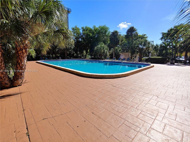 view of swimming pool featuring a patio