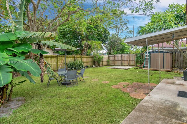 view of yard featuring a shed