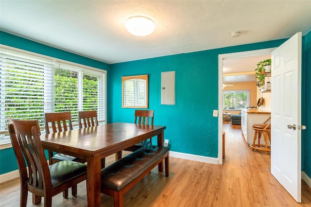 dining room featuring light hardwood / wood-style floors, a textured ceiling, and a healthy amount of sunlight