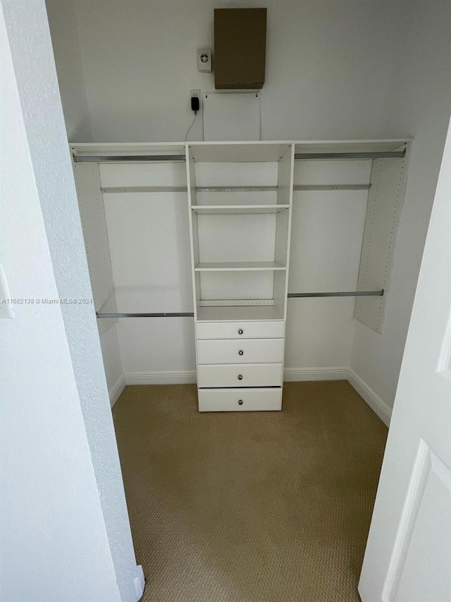 spacious closet with carpet flooring