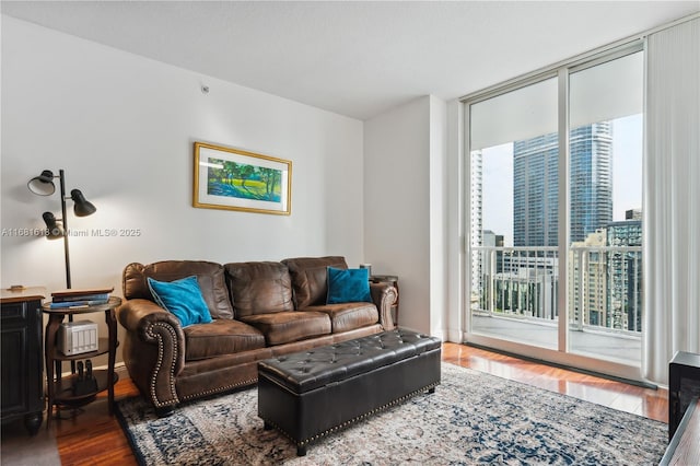 living room featuring expansive windows, a city view, and wood finished floors