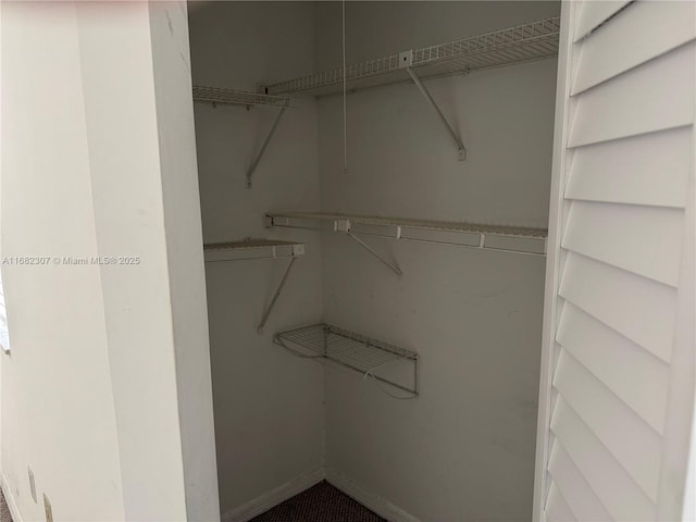 view of spacious closet