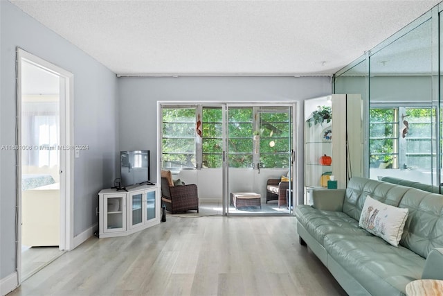 living room featuring light hardwood / wood-style flooring, a textured ceiling, and plenty of natural light