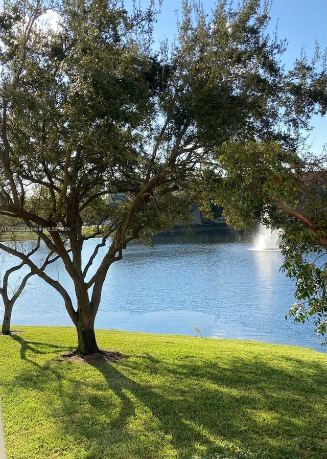 property view of water