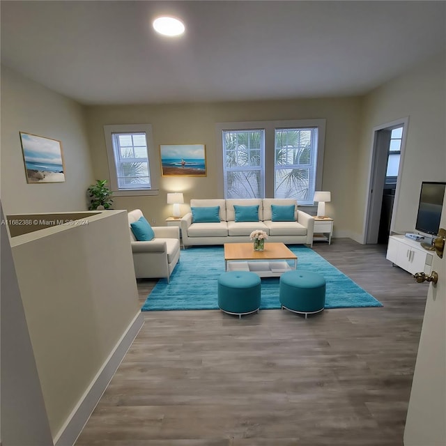 living room featuring hardwood / wood-style flooring