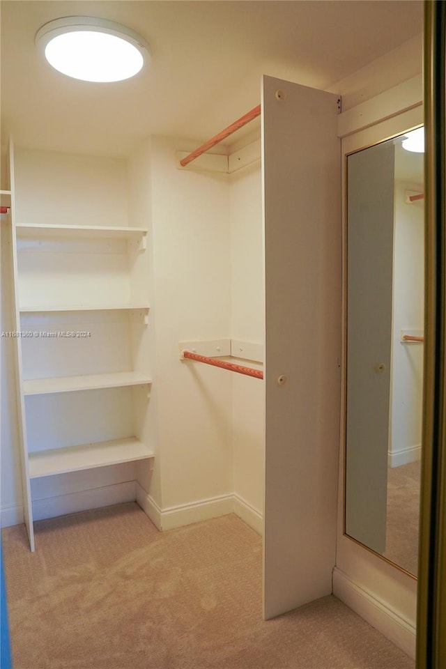 spacious closet with light colored carpet