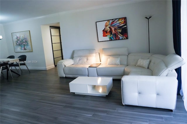 living room featuring crown molding and dark hardwood / wood-style flooring