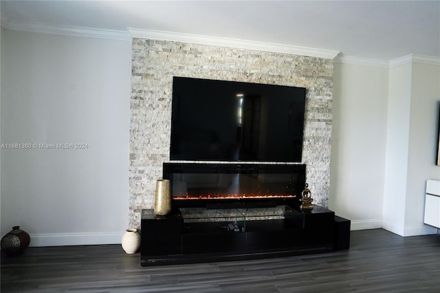 interior details with crown molding, wood-type flooring, and a fireplace