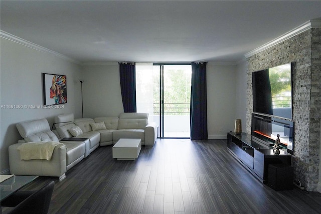 living room featuring crown molding, a healthy amount of sunlight, and dark hardwood / wood-style flooring