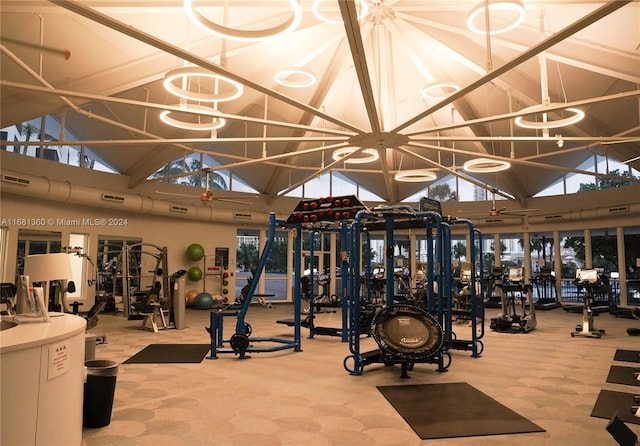 workout area featuring carpet floors and high vaulted ceiling