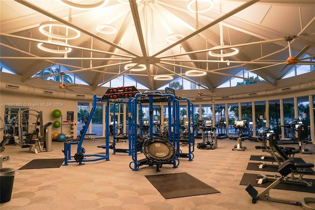 workout area featuring high vaulted ceiling and carpet floors