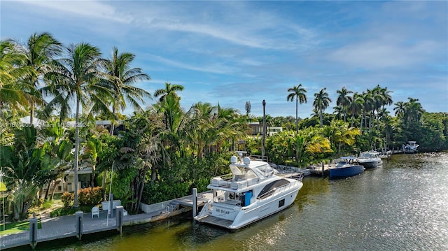 dock area with a water view