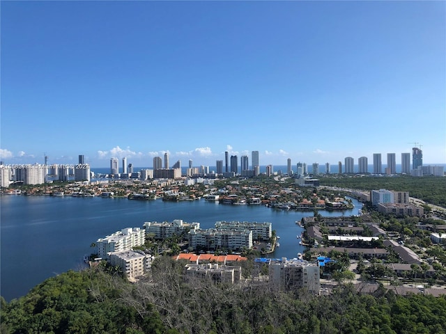 property view of water with a city view