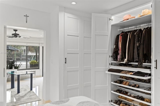 view of closet