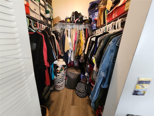 walk in closet featuring wood-type flooring