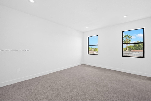 empty room featuring carpet and a healthy amount of sunlight