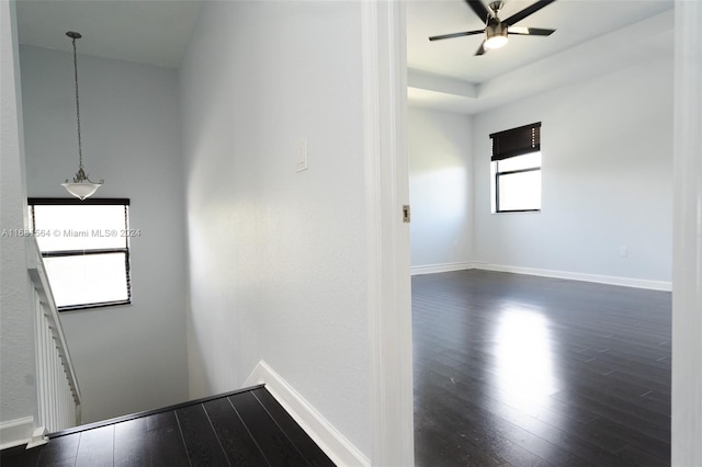 hallway with dark wood-type flooring