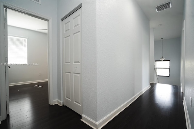 hall featuring a healthy amount of sunlight and dark hardwood / wood-style flooring