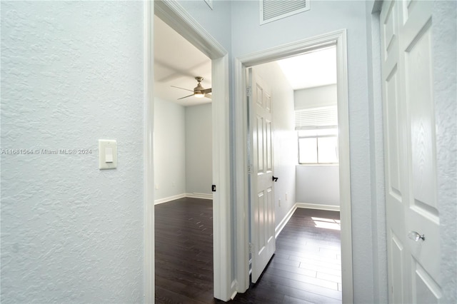 hallway featuring dark hardwood / wood-style flooring