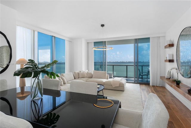 living room featuring floor to ceiling windows and wood finished floors