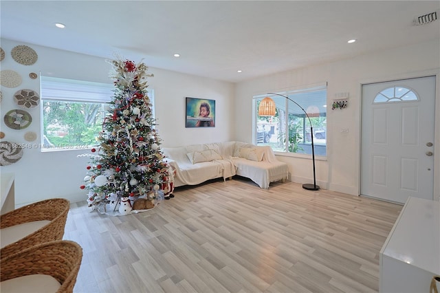 living room with light hardwood / wood-style floors and plenty of natural light