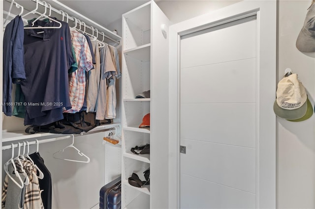 view of spacious closet