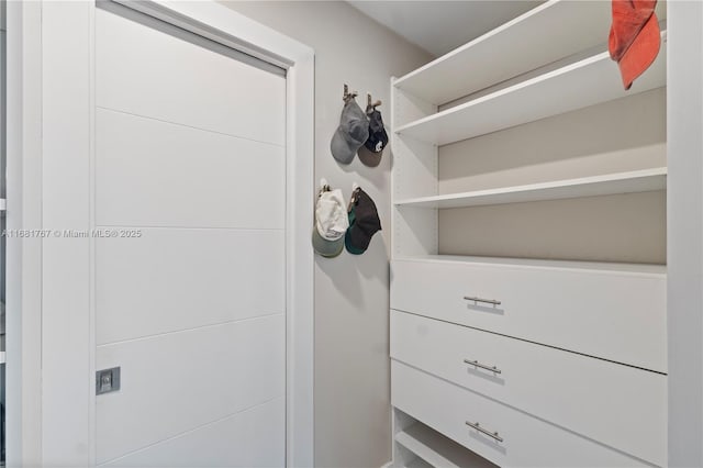 view of spacious closet