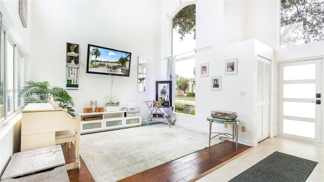 foyer with light hardwood / wood-style flooring and a high ceiling