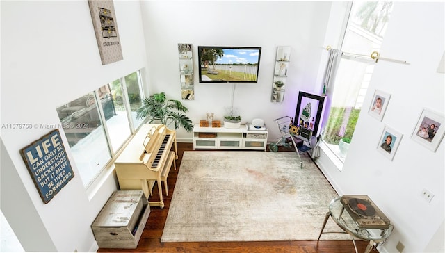 living room featuring hardwood / wood-style floors, a towering ceiling, and a healthy amount of sunlight